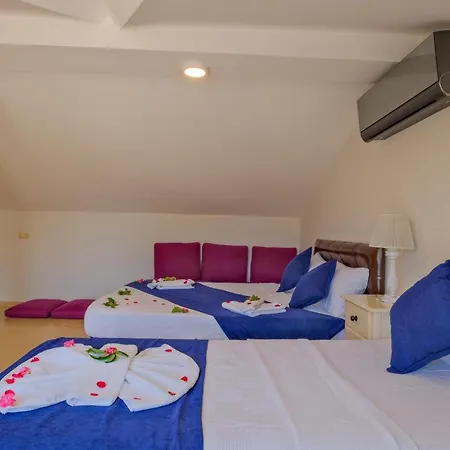 Guel Evleri Calis 4* Φετιγιέ